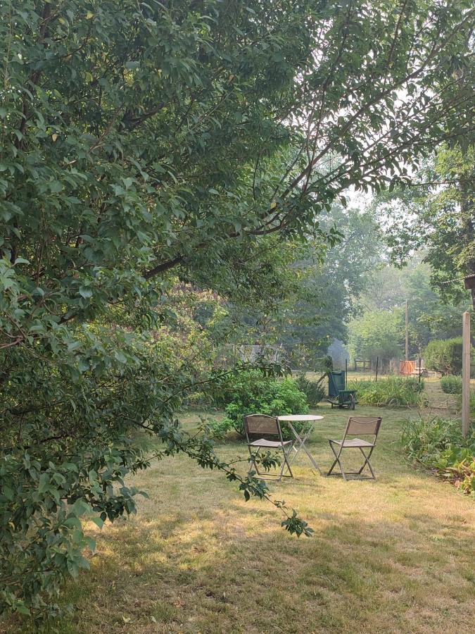 Chalet Dans La Foret....Adorable 1 Bedroom Chalet Surrounded By Woodland Pressignac Экстерьер фото